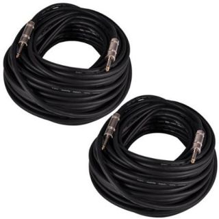 Seismic Audio Pair of 100 Foot 1/4" to 1/4" Speaker Cables  12 Gauge 2 Conductor 100' Black   Q12TW100 2Pack