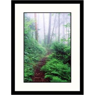 Great American Picture Landscapes 'Appalachian Trail, Great Smokey Mountains, Tennessee' by David Davis Framed Photographic Print