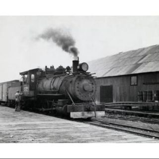 Rear view of a man standing beside a steam train engine at a railroad station Poster Print (18 x 24)