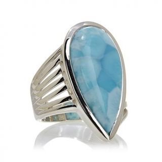 Himalayan Gems™ Pear Shaped Larimar Sterling Silver Ring   7693060