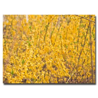 Ariane Moshayedi Yellow Buds Canvas Art   15316704  