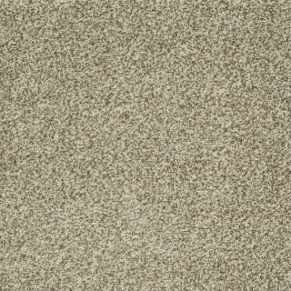 STAINMASTER TruSoft Peaceful Mood I Spring Grass Textured Indoor Carpet