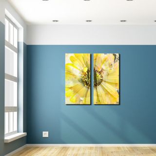 Painted Petals XCV 2 Piece Graphic Art on Canvas Set by Ready2hangart