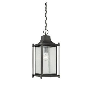 Dunnmore 1 Light Outdoor Hanging Lantern by Savoy House