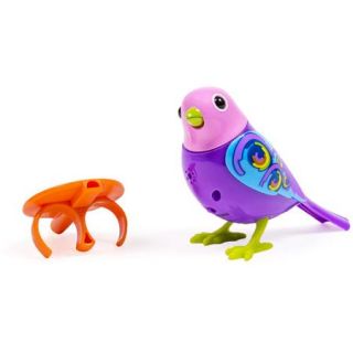 DigiBirds Single Pack, Purple