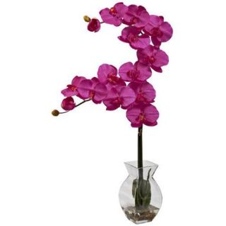 Nearly Natural Phalaenopsis Orchid with Vase