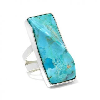 Jay King Crow's Peak Twisted Turquoise Sterling Silver Ring   7636383