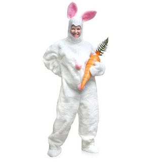 Bunny Suit Costume    Buyseasons