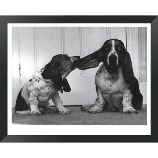 Evive Designs Lend Me Your Ear by Keystone Framed Photographic Print
