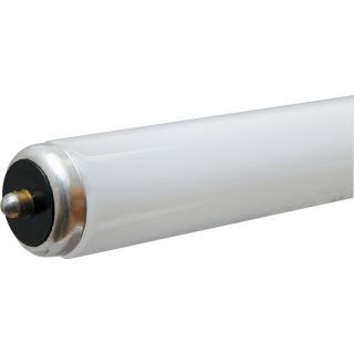 GE 40 Watt T12 4 ft Cool White (4100K) Fluorescent Light Bulb