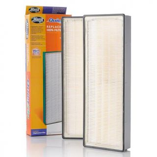 True HEPA Replacement 2 pack of Model #30960 Filters   AutoShip   2406150
