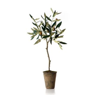 32 inch Olive Tree In Pot (Pack of 4)   16981304  