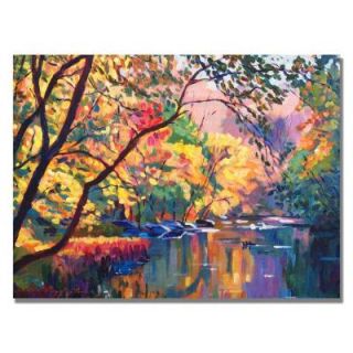 Trademark Fine Art 18 in. x 24 in. Color Reflections Canvas Art DLG0242 C1824GG