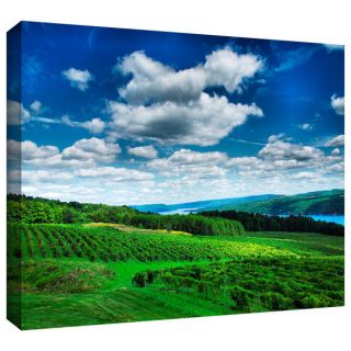 ArtWall Steven Ainsworth Vineyard & Lake Gallery Wrapped Canvas