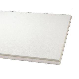Armstrong 12 Pack Ceiling Tiles (Actual 47.625 in x 23.625 in)