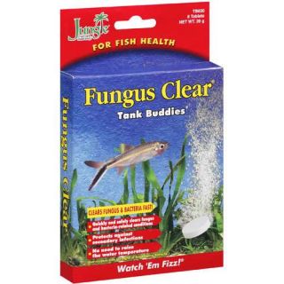 Jungle Fungus Clear Tank Buddies, 39 G