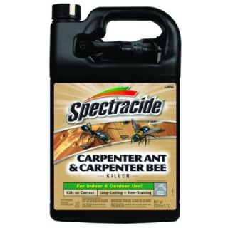 Spectracide 1 gal. Ready to Use Carpenter Ant and Carpenter Bee Killer HG 95850