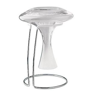 Wine Enthusiast Companies Decanter Drying Stand Plus