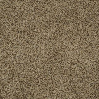 STAINMASTER TruSoft Private Oasis I Bahia Textured Indoor Carpet