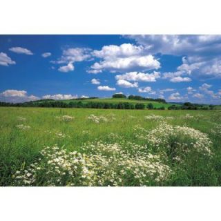 Komar 100 in. x 145 in. Meadow Wall Mural 8 254