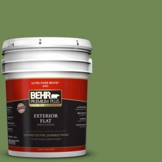 BEHR Premium Plus 5 gal. #M370 6 Snip of Parsley Flat Exterior Paint 430005