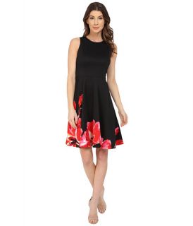Maggy London Placed Bloom Printed Scuba Fit and Flare Dress Black/Red