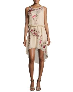 Haute Hippie Sleeveless Floral Embroidered Dress, Swan/Multi