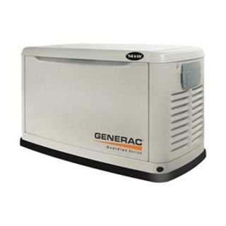 Generac 5884 Automatic Standby Generator, 14LP/13NG kW