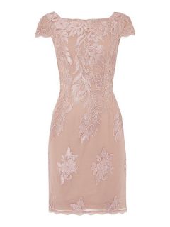 Adrianna Papell Cap sleeve dress with large embroidered motif Blush