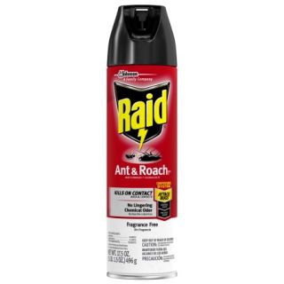 Raid Ant & Roach Killer Fragrance Free 17.5 Ounces