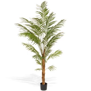 National Tree Company 84 inch Deluxe Areca Potted Palm Tree   18309250