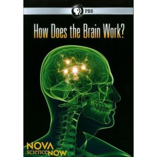 NOVA scienceNOW How Does the Brain Work? (Widescreen)