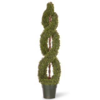 National Tree Co. Cedar Double Spiral Round Topiary in Pot