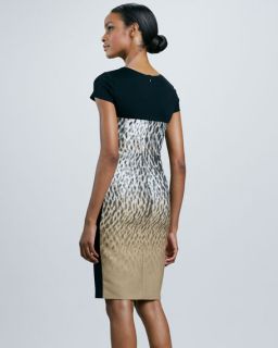 DKNY Leopard Print Block Sheath Dress